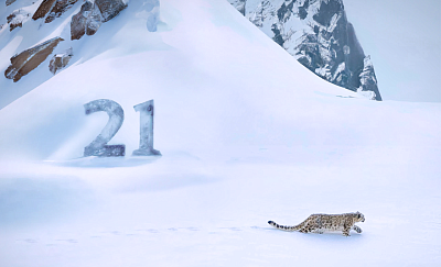 Компании «Ирбис-Т» исполняется 20 лет! картинка